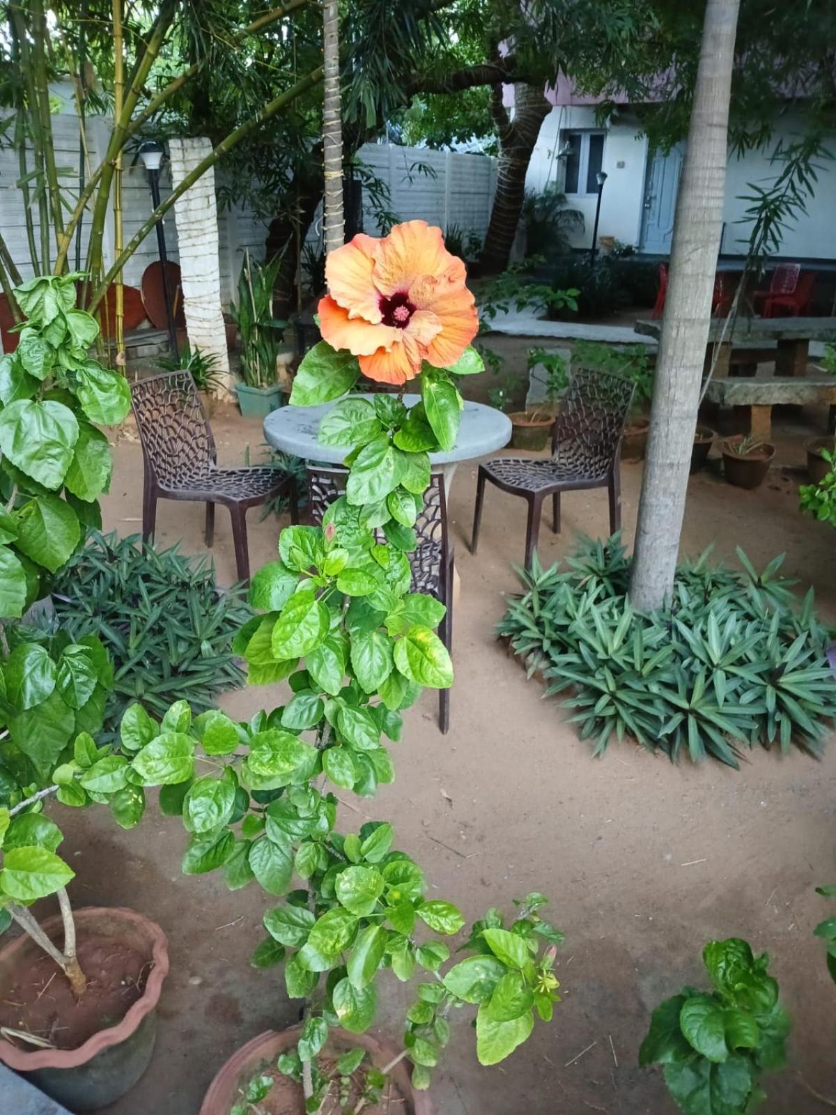 The Well Beach Side Guest House Ауровил Екстериор снимка